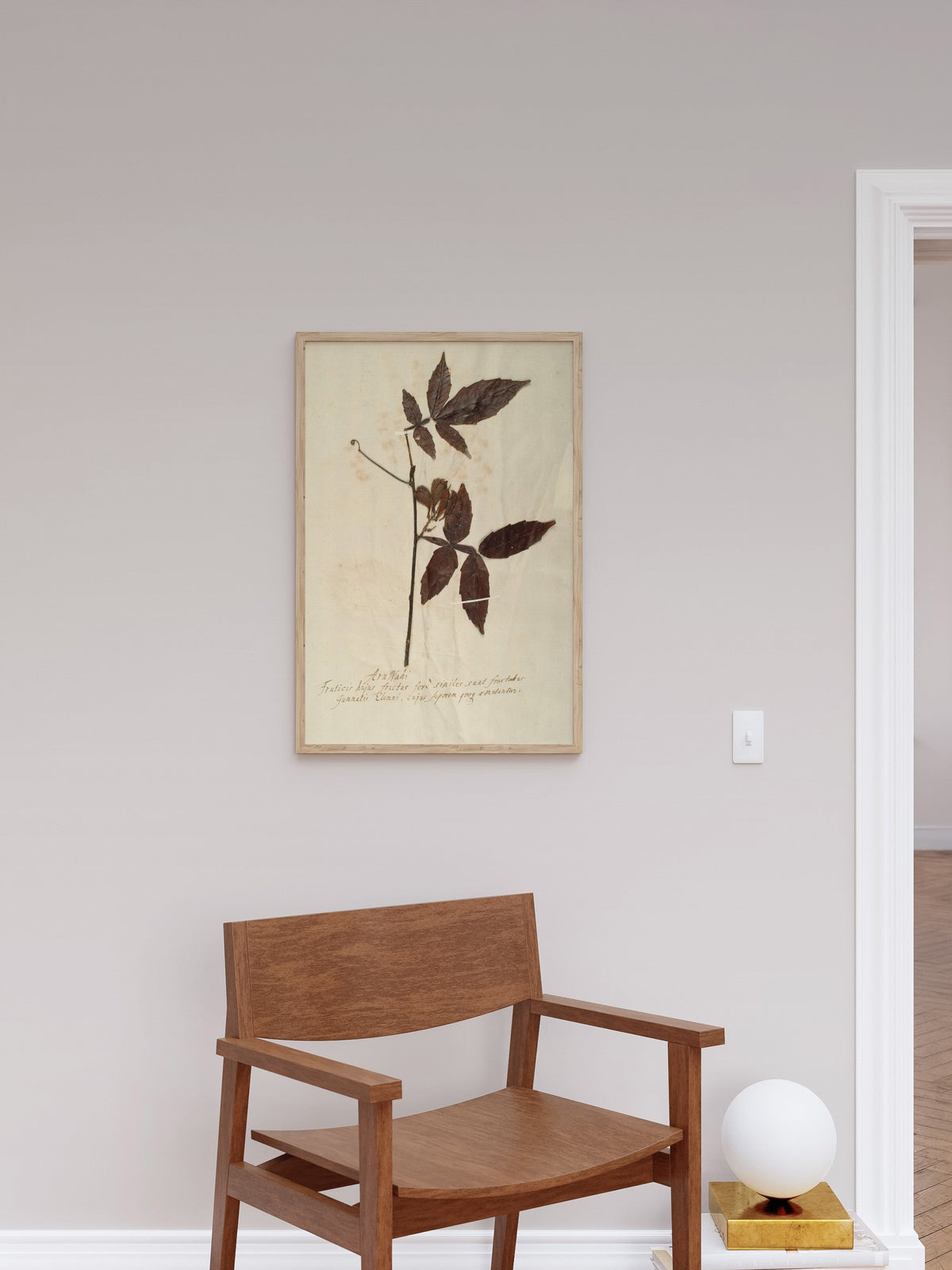 Herbarium I, photo 5 of 9