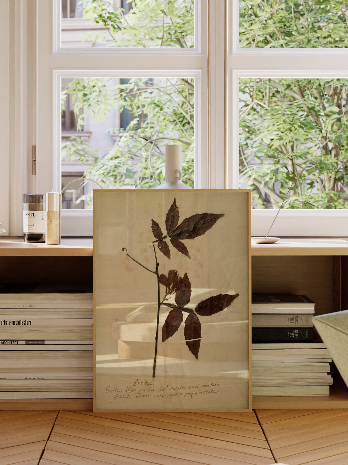 Herbarium I, photo 8 of 9