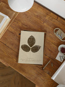 Herbarium VI