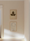 Herbarium VI