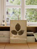 Herbarium VI