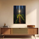 Sunset Wall Decor, Nature Print, Forest Path Wall Art, Trees Wall Art, Photography Print, Wall Decor, Canvas Print, Wall Art, Framed Canvas