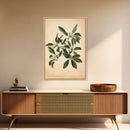 Mistletoe Canvas Print - Framed Canvas - Minimalist Christmas Art - Boho Christmas Art - Rustic Christmas Art