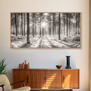 Winter Pine Forest, Sunlight Snow Trees, Nature Landscape Photography, Framed Canvas Print, Cabin Decor, Minimalist Wall Art