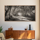 Tree Tunnel Trail, Light Dappled Path, Forest Archway Scene, Framed Canvas Print, Hallway Wall Art, Boho Natural Decor, Living Room Wall Art