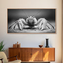 Hermit Crab, Close-Up, Ocean Creature, Monochrome Nature, Framed Canvas Print, Marine Wall Decor, Coastal Kitchen Wall Art, Entryway Accent
