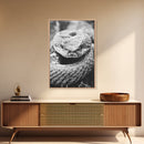 Rattlesnake Face, Coiled Closeup, Venomous Gaze, Canvas Print, Macro Wildlife Wall Art, Reptile Decor, Intense Black White Photography