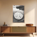 Sand Dollar, Coastal Shore, Ocean Shell Print, Canvas Print, Beachcomber Wall Art, Seaside Bathroom Decor, Nautical Nature Photography