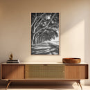 Coastal Tree Path, Nature Shadows, Ocean Breeze, Autumn Light, Framed Canvas Print, Living Room Wall Art, Moody Landscape Photography
