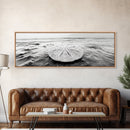 Sand Dollar, Ocean Shore, Calm Waters, Canvas Print, Coastal Wall Art, Minimalist Bathroom Decor, Seashell Beach Photography