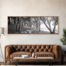 Forest Path, Tree Tunnel, Light Shadows, Woodland Magic, Framed Canvas Print, Nature Lover Gift, Entryway Wall Art, Modern Rustic Style