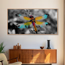 Rainbow Dragonfly, Nature Close-Up, Bold Insect Art, Canvas Print, Boho Wall Art, Botanical Decor, Vibrant Bedroom Accent Piece