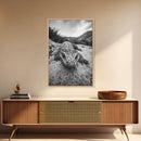 Lizard art, wildlife photography, moody art, desert decor, black and white photography, wabi sabi wall art, framed canvas print, unique gift