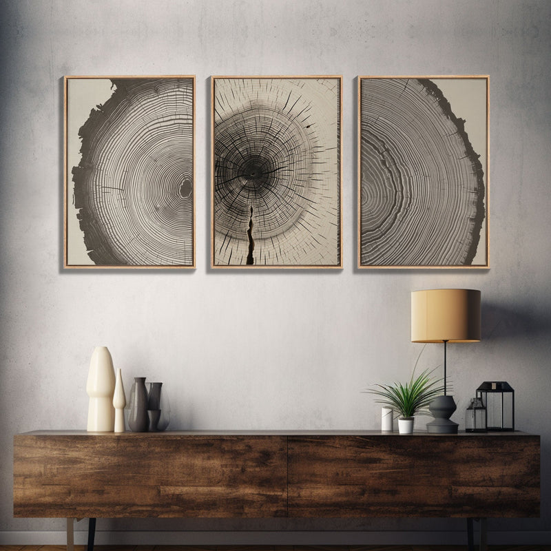 3 Piece Triptych Framed Canvas Wall Art Set, Wood Tree Rings, Abstract Illustration Prints, Modern Art, Neutral Decor, Minimalist Art