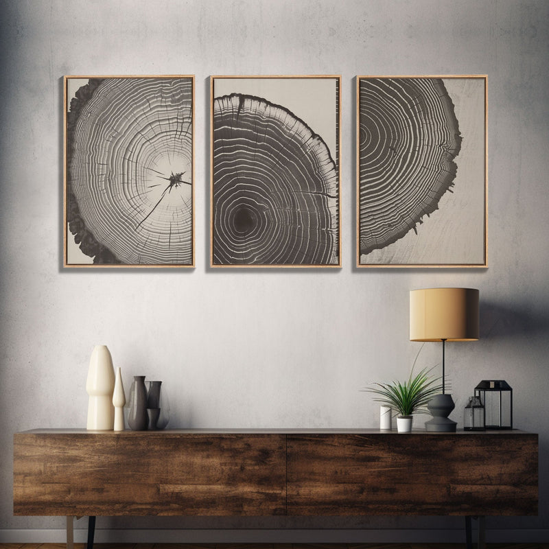 Boho Framed Canvas Wall Art Set, Wood Tree Rings Abstract Illustrations Prints Modern Art, Minimalist Neutral Boho Decor, Charcoal Sketch