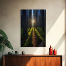 Sunset Wall Decor, Nature Print, Forest Path Wall Art, Trees Wall Art, Photography Print, Wall Decor, Canvas Print, Wall Art, Framed Canvas