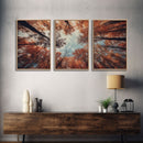 Trees Wall Art, Fall Art Print, Nature Print, Canvas Print, Wall Art, 3 Piece Wall Art, Farmhouse Wall Decor, Living Room Art, Office Prints