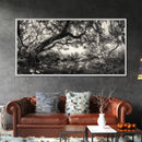 Twisted Forest Canopy, Ancient Trees, Mystical Woodland, Canvas Print, Boho Living Room Art, Black and White Nature Print, Cabin Decor