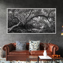Mangrove Roots, Twisted Forest, Wild Nature, Moody Jungle, Framed Canvas Print, Rustic Living Room Art, Woodland Decor, Boho Vibes