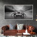 Fierce Crab, Coastal Storm, Ocean Mood, Dramatic Shore, Framed Canvas Print, Bathroom Wall Art, Beach House Decor, Marine Photography