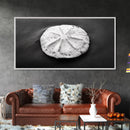 Sand Dollar, Beach Detail, Minimalist Sea, Calm Nature, Framed Canvas Print, Bathroom Wall Art, Coastal Boho Decor, Ocean Zen Style