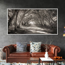 Tree Tunnel Trail, Light Dappled Path, Forest Archway Scene, Framed Canvas Print, Hallway Wall Art, Boho Natural Decor, Living Room Wall Art