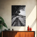 Coastal Shadows Path, Black and White Landscape, Framed Canvas Print, Entryway Art, Calm Nature Scene, Moody Coastal Wall Decor