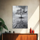 Lonely Tree, Coastal Roots, Ocean Breeze, Framed Canvas Print, Entryway Wall Art, Moody Nature Photography, Minimalist Earth Tones