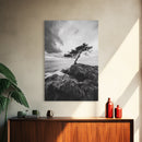 Lone Tree, Cliffside Ocean, Windy Coast Art, Framed Canvas Print, Bedroom Wall Art, Modern Nature Photography, Coastal Minimalist Decor