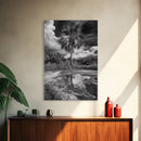 Tropical Palm, Reflected Sky, Nature Tranquility, Canvas Print, boho wall decor, bathroom art, tropical reflection photography