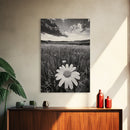 Wildflower Field, Daisy Bloom, Summer Meadow, Framed Canvas Print, Boho Botanical Wall Art, Bedroom Decor, Earthy Nature Photography