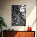 Forest Pathway Trail, Wilderness Escape, Rustic Nature, Black and White Framed Canvas Print, Cozy Cabin or Entryway Wall Art
