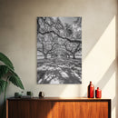 Oak Tree Tunnel, Southern Charm, Shaded Pathway, Timeless Trees Framed Canvas Print, farmhouse wall decor, hallway landscape art