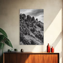 Hillside Forest, Peaceful Pines, Mountain Light, Framed Canvas Print, Nature Wall Art, Cabin Decor, Woodland Landscape Scene