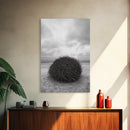 Windswept Beach Nest, Natural Sculpture, Driftwood Ball, Solitude Scene, Canvas Print, Minimalist Wall Art, Neutral Bedroom Decor