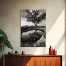 Tree Reflection, Still Water, Peaceful Nature, Framed Canvas Print, Tranquil Wall Art, Rustic Bedroom Decor, Black and White Photography