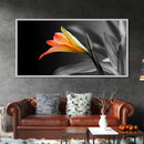 Orange Lily, Botanical Closeup, Modern Floral, Elegant Nature, Framed Canvas Print, Minimalist Wall Art, Kitchen Decor, Botanical Photography