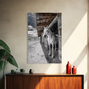 White Horse, Western Ranch, Rustic Stable, Cowboy Framed Canvas Print, Farmhouse Wall Art, Country Living Room Decor, Black White Art