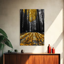 Golden Forest Light, Fall Leaves, Tall Trees Shadows, Tranquil Scene, Framed Canvas Print, Autumn Wall Art, Boho Living Room Decor