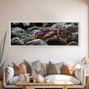 Rainbow Crab, Coastal Creature, Ocean Life, Vibrant Nature, Framed Canvas Print, Bathroom Wall Art, Coastal Home Decor