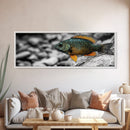 Colorful Fish Closeup, Underwater Art, Nature Photography, Canvas Print, Coastal Bathroom Decor, Vibrant Marine Life Wall Art