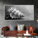 Sea Shell, Wabi Sabi Art, Coastal Decor, Minimalist Art, Nautical Wall Art, Moody Art, Extra Wide Art, Framed Canvas Print