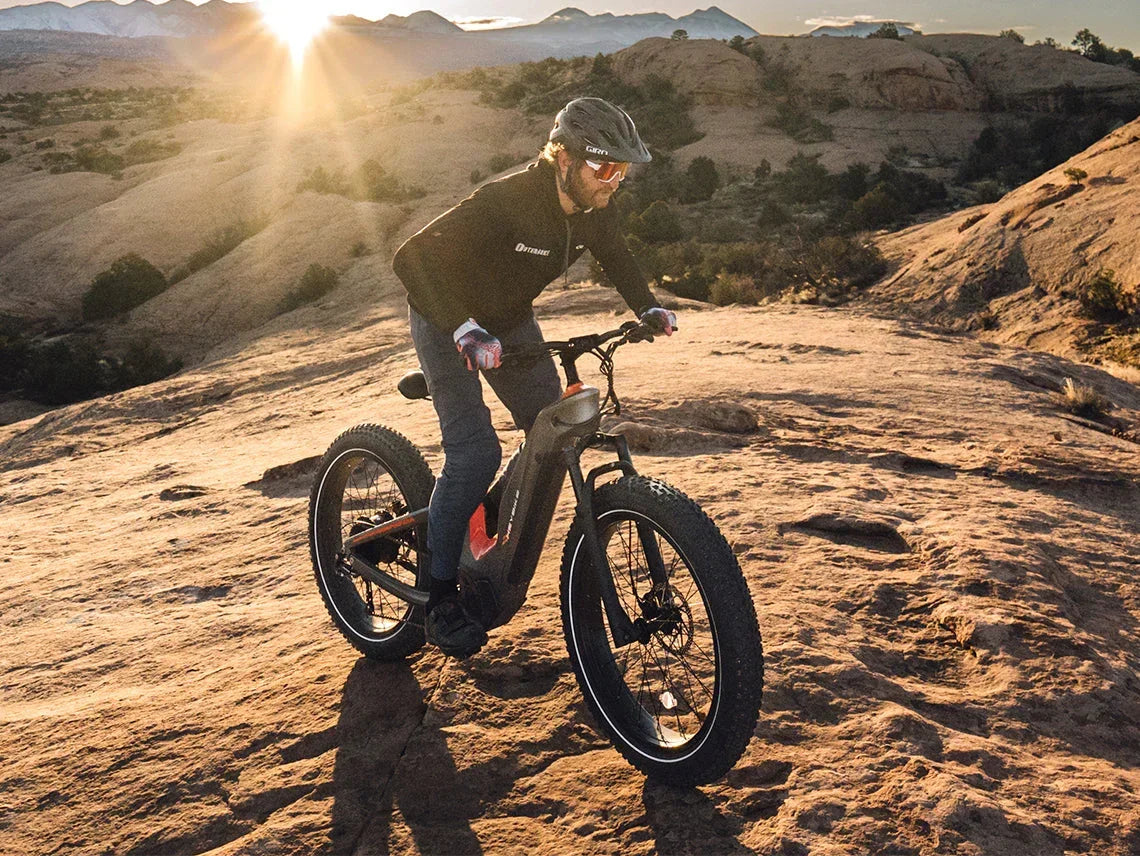 Heybike Hero, photo 9 of 14