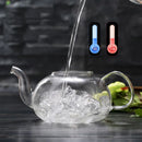 GobekUsa Glass Teapot Flower Tea Set with Stainless Steel Strainer