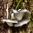 GobekUsa Artificial Mushroom Fungus Hanging Tree Decor for Outdoor Gardens
