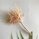 GobekUsa Dried Flower Bouquets for Home Decor, Photography Props, and Crafts