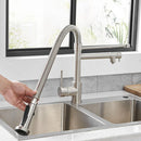 GobekUsa LED Kitchen Faucet with Dual Spouts and Single Handle