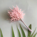 GobekUsa Dried Flower Bouquets for Home Decor, Photography Props, and Crafts