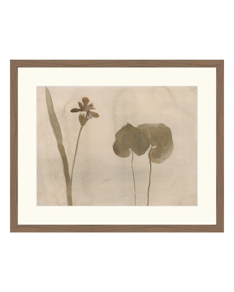 Botanical Thoughts II