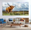 Highland Cattle Wall Art Cow Canvas Print Animal Art by MyGreatCanvas | Canvas Wall Art Prints | Photo Prints & Wall Decor